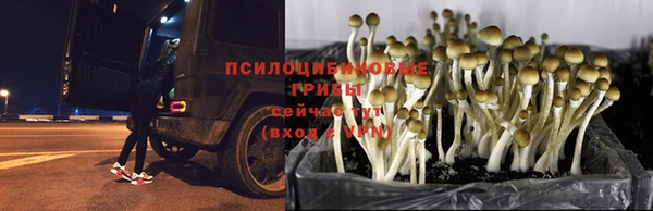 кокс Волосово