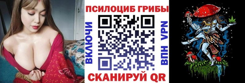 Галлюциногенные грибы мицелий  Купить закладки  Пойковский 